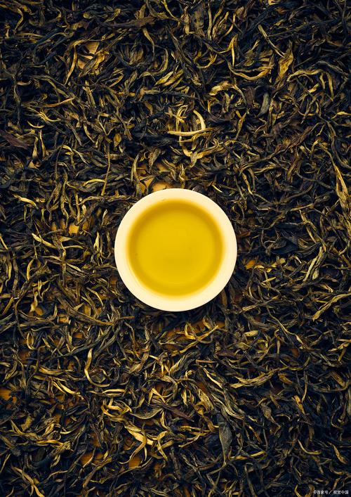 Classic Raw Pu-erh Tea